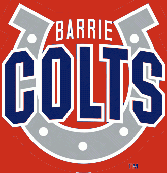 Barrie Colts 1995-pres alternate logo iron on heat transfer
